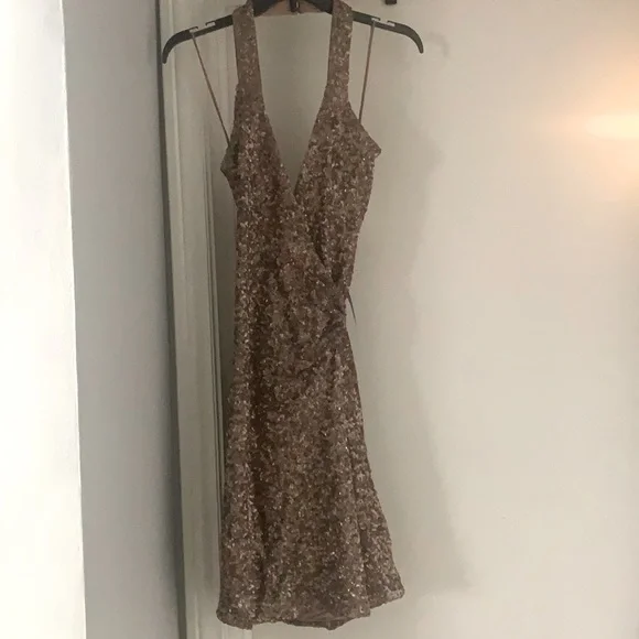 Dress the Population Rose Gold Sequin Dress